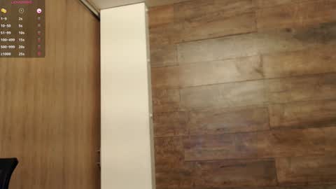 Snapshot of connor_h1 chatting on 01-17-25, 04:17 connor_h1 online show from 01-17-25, 04:17