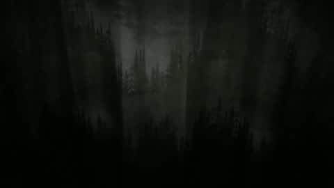 Cool Dude online show from 12-21-24, 10:08