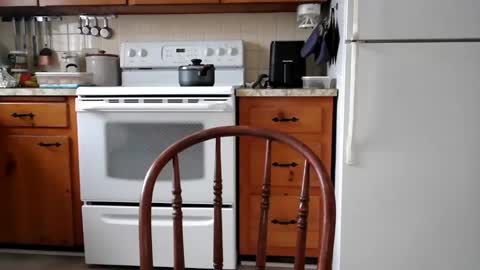 Cool Dude online show from 02-19-25, 07:59