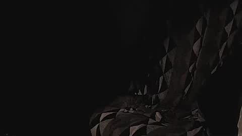 Snapshot of coolmementox chatting on 01-17-25, 01:04 ChoveEnArrakis online show from 01-17-25, 01:04