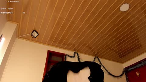 Snapshot of coquette_johnson chatting on 12-29-24, 11:40 Coquette Johnson online show from 12-29-24, 11:40