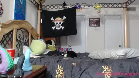 Snapshot of costumemenagerie chatting on 01-17-25, 12:20 Amethyst Cox online show from 01-17-25, 12:20