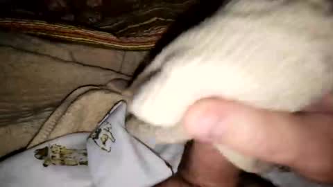 countdownsub online show from 03-08-26, 04:44