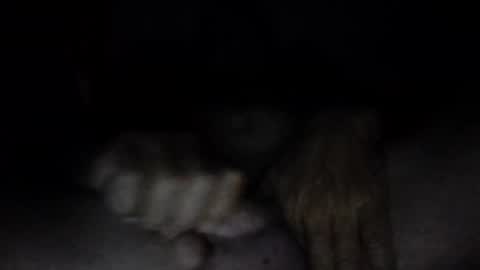 Snapshot of couqi_xxx10 chatting on 06-02-26, 12:29 online show from 06-02-26, 12:29