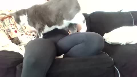 courtxoxo_o online show from 02-20-25, 09:31