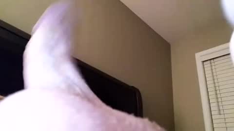 Snapshot of cranada777 chatting on 12-31-24, 01:04 Cranada777 online show from 12-31-24, 01:04