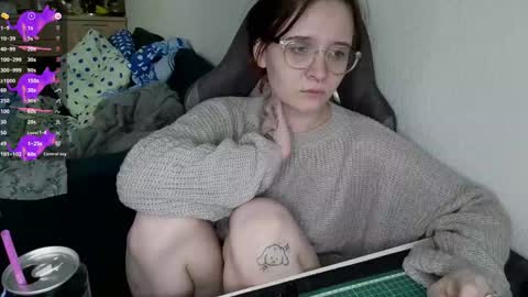 Snapshot of crash_test13 chatting on 01-30-25, 09:47 crash_test13 online show from 01-30-25, 09:47