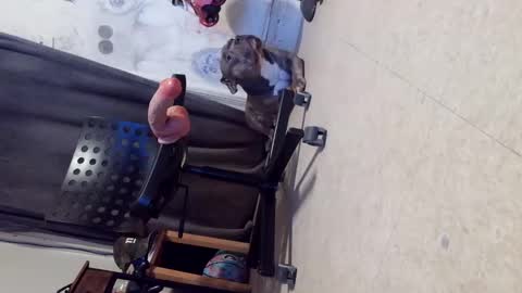 drbucknaked online show from 10-29-25, 06:15