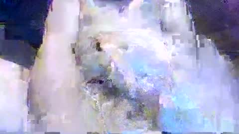 crazydog3690 online show from 03-12-26, 01:34