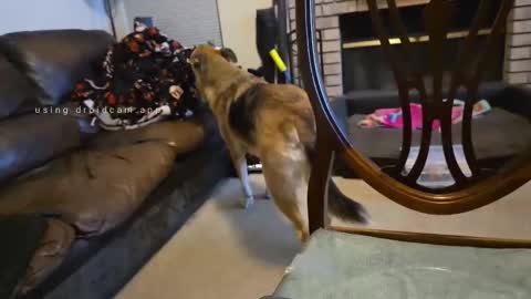 The hopeless romantic online show from 09-27-25, 08:08