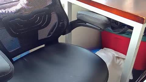 Snapshot of cristiano_ronaldo_sexy_man chatting on 02-08-25, 11:55 Cristiano Ronaldo sexy man online show from 02-08-25, 11:55