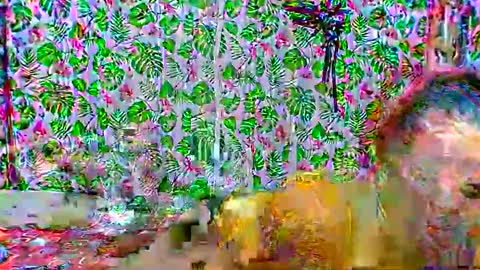 cristine316 online show from 02-25-25, 05:19