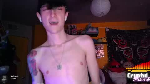 CryptidTwink online show from 04-07-26, 06:14