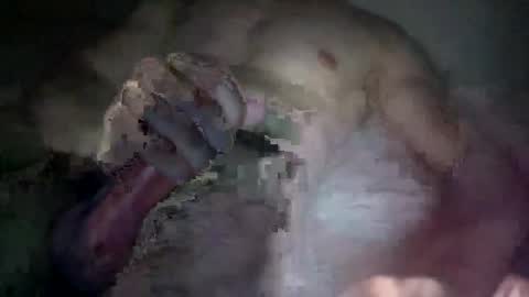 csleddin29 online show from 01-10-25, 07:11