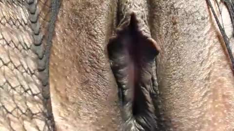 Nambuusi Irene online show from 02-16-26, 09:00