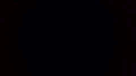 Breeding Bull USA online show from 02-03-26, 09:36