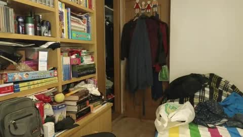 curiosillo1983 online show from 04-19-26, 10:45