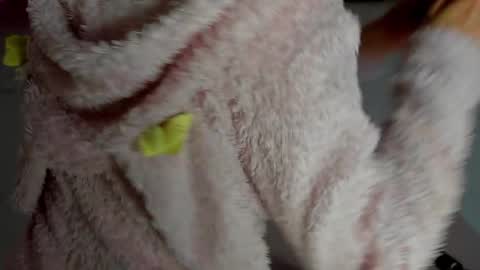 Snapshot of curlyanto chatting on 11-12-25, 11:14 Antonia online show from 11-12-25, 11:14