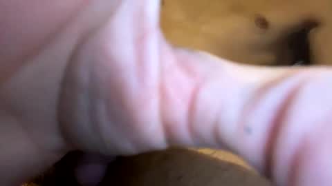 Snapshot of curvy24777 chatting on 01-19-25, 03:50 curvy24777 online show from 01-19-25, 03:50