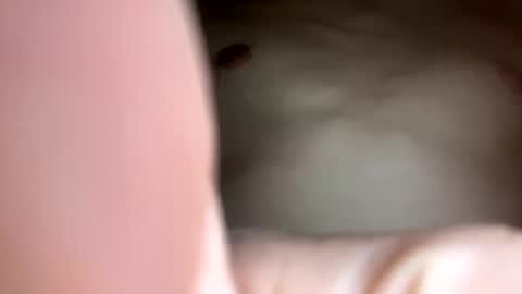 Snapshot of curvy24777 chatting on 02-23-25, 07:44 curvy24777 online show from 02-23-25, 07:44