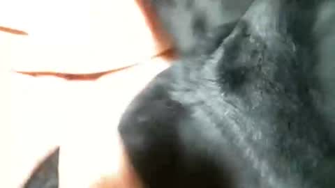 Snapshot of cutandwaxed2 chatting on 03-05-25, 11:27 BI SMOOTH MATURE SUB online show from 03-05-25, 11:27