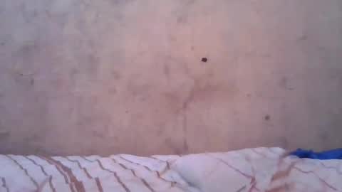 Snapshot of cute_divah4 chatting on 06-12-26, 04:22 cute_divah4 online show from 06-12-26, 04:22