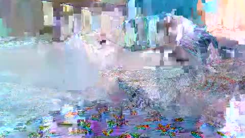 Snapshot of cute_savanna chatting on 02-11-26, 08:19 cute_savanna online show from 02-11-26, 08:19