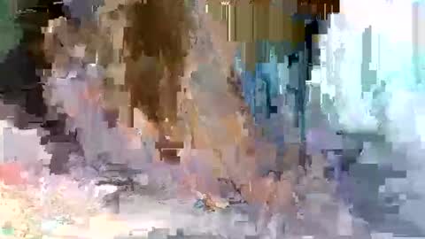 Snapshot of cute_savanna chatting on 03-10-26, 05:01 cute_savanna online show from 03-10-26, 05:01