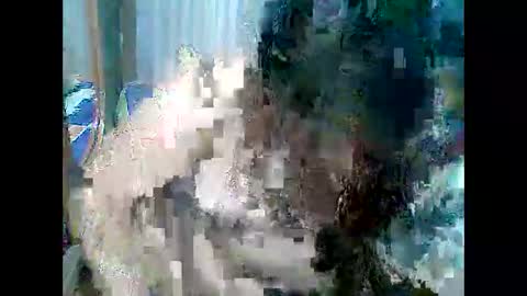 Snapshot of cutechubbyasian chatting on 04-26-26, 11:30 cutechubbyasian online show from 04-26-26, 11:30