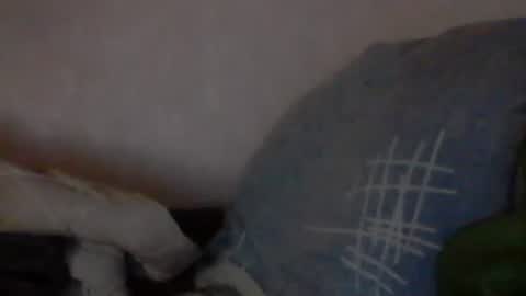 cutekattie online show from 01-09-25, 03:58