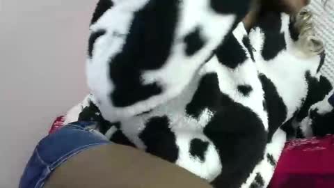 cutezola online show from 03-27-26, 08:26