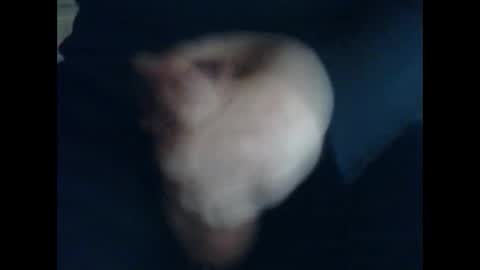 Snapshot of cutieguy86 chatting on 10-31-25, 11:44 CutieBoy online show from 10-31-25, 11:44