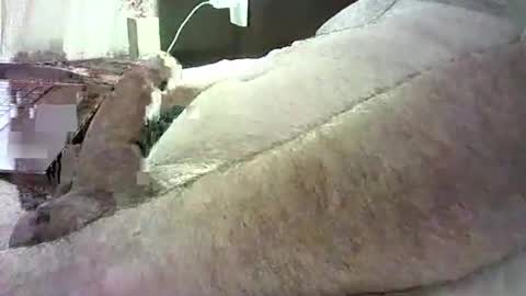 cv79brctba online show from 10-29-25, 02:58