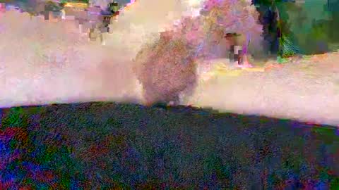 Snapshot of cwaddle chatting on 01-10-25, 03:48 cwaddle online show from 01-10-25, 03:48