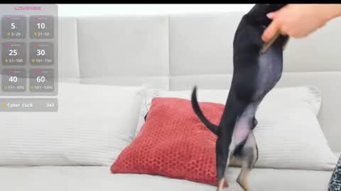 Eva online show from 04-18-26, 07:07