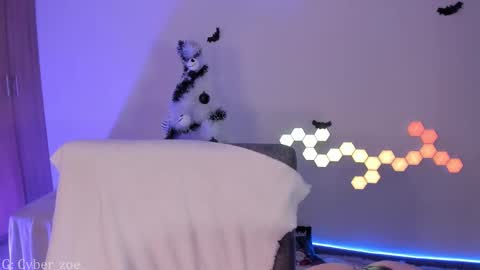 Snapshot of cyberzoe chatting on 12-02-25, 06:25 cyber zoe online show from 12-02-25, 06:25