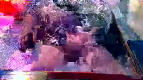 Snapshot of dabaatendae chatting on 02-02-25, 10:17 dabaatendae online show from 02-02-25, 10:17