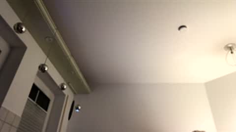 dachdecker7269 online show from 12-16-25, 05:12