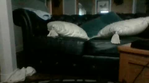 Snapshot of dadddyslilslxtxx chatting on 09-17-25, 03:08 cumslutangel online show from 09-17-25, 03:08