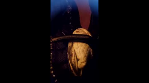 Daddett iS Wett online show from 03-17-26, 05:22