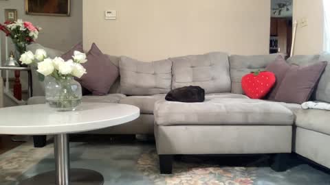 Snapshot of daddy_daycare_ chatting on 02-22-26, 05:55 Belle Email daddydaycarecb online show from 02-22-26, 05:55