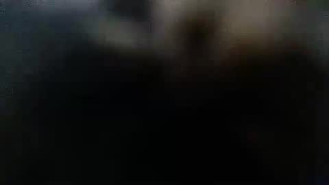 DDick online show from 10-12-25, 01:59