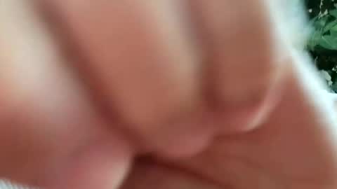 daddydick926 online show from 09-11-25, 01:22