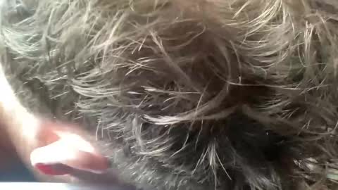 daddyswede23 online show from 04-09-26, 03:39