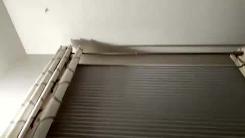 daddyweis online show from 09-16-25, 02:23