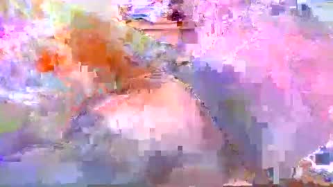 dafo1980 online show from 04-20-26, 12:19