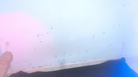 Snapshot of dakkotta_curvy chatting on 09-11-25, 07:08 VALENTINA online show from 09-11-25, 07:08