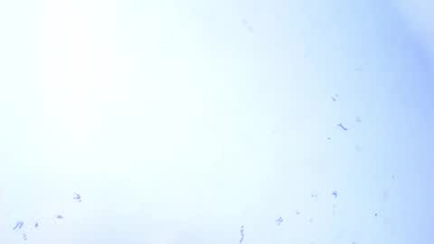 Snapshot of dakkotta_curvy chatting on 09-28-25, 07:47 VALENTINA online show from 09-28-25, 07:47