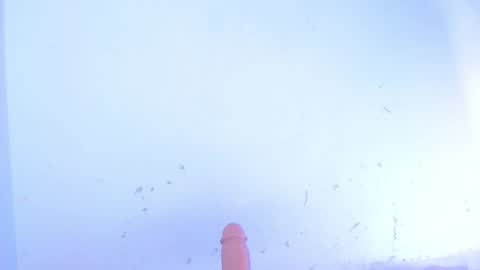 Snapshot of dakkotta_curvy chatting on 10-10-25, 07:51 VALENTINA online show from 10-10-25, 07:51