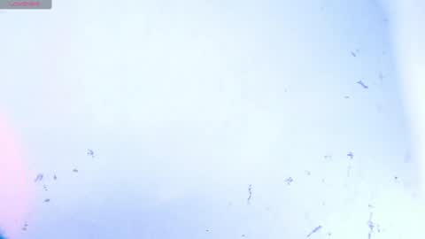 Snapshot of dakkotta_curvy chatting on 10-11-25, 08:13 VALENTINA online show from 10-11-25, 08:13